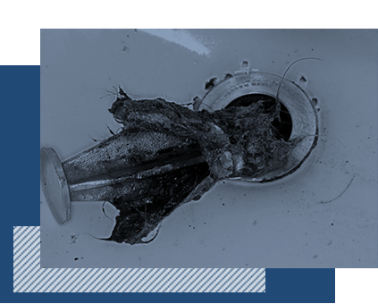 snakinginline-5cd97c040b3ba